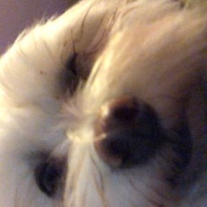 Meet your Posher, Becca